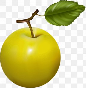 Apple - Apple Vegetarian Cuisine Rose Hip Fruit PNG