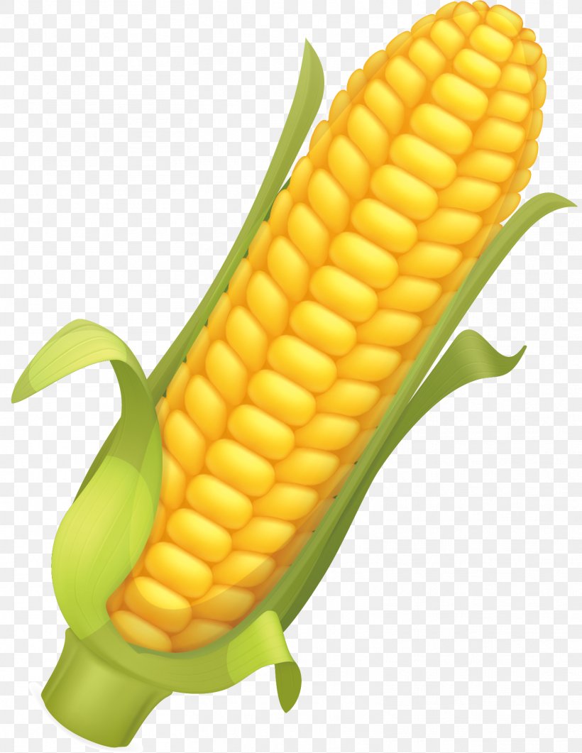 Corn Flakes Maize Corncob Illustration, PNG, 1561x2021px, Corn Flakes, Cereal, Commodity, Corn Kernels, Corn On The Cob Download Free