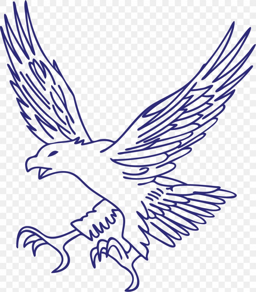Eagle Hawk, PNG, 1135x1292px, Eagle, Area, Art, Beak, Bird Download Free