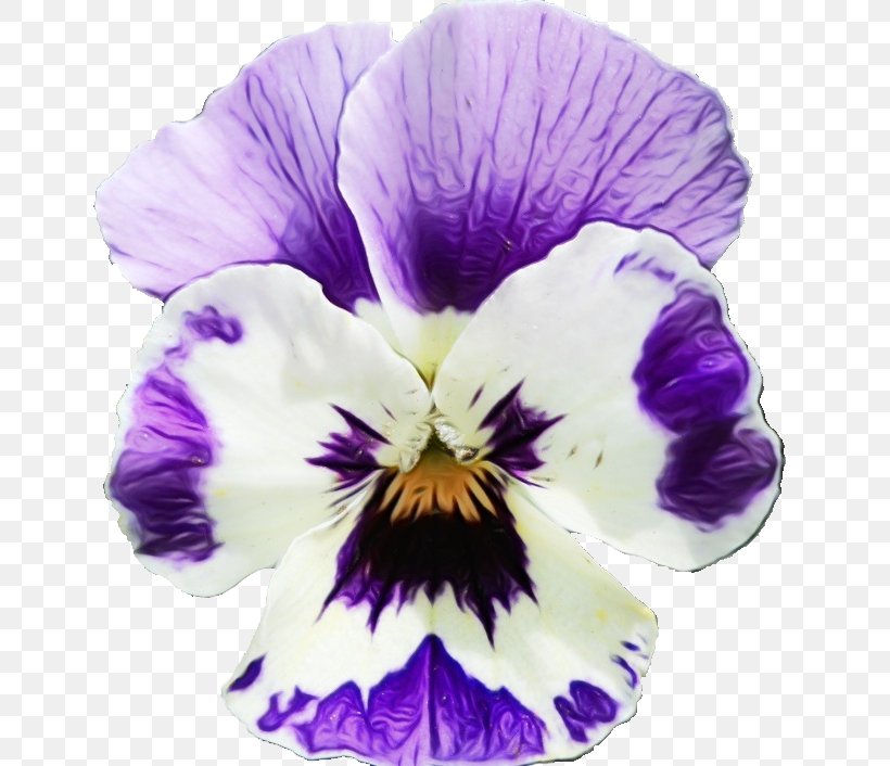 Flower Flowering Plant Violet Purple Petal, PNG, 654x706px, Watercolor, Flower, Flowering Plant, Paint, Pansy Download Free