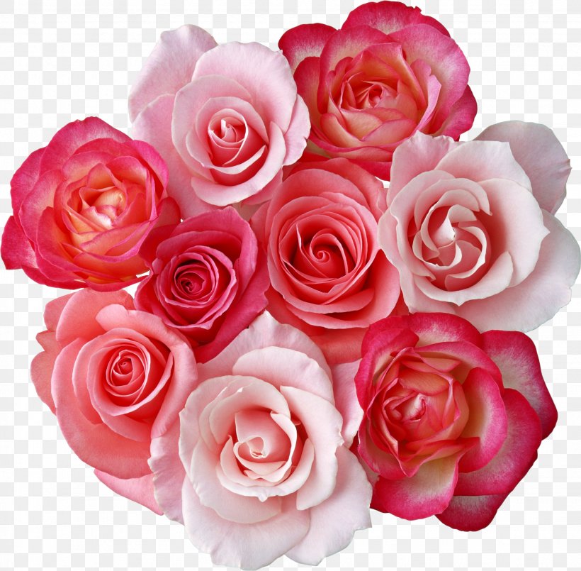 Rose Flower Bouquet Cut Flowers Clip Art, PNG, 2045x2010px, Rose, Artificial Flower, Cut Flowers, Floral Design, Floribunda Download Free