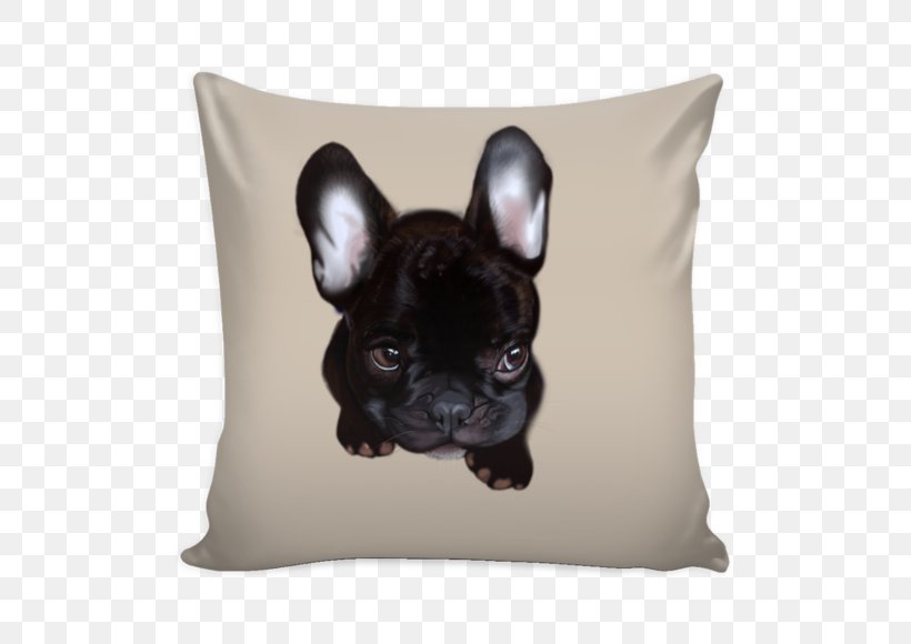 Throw Pillows Cushion Couch Bed, PNG, 580x580px, Throw Pillows, Bed, Bench, Blanket, Bulldog Download Free
