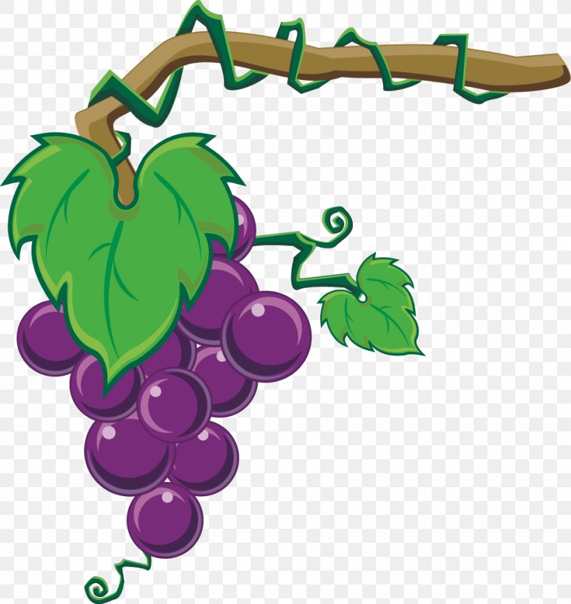 Grape Wine Auglis Fruit Clip Art, PNG, 984x1042px, Grape, Auglis, Eggplant, Flowering Plant, Food Download Free