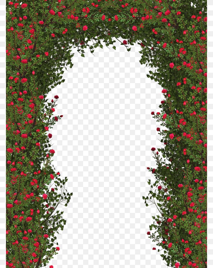 Rose Shrub Flower Clip Art, PNG, 774x1032px, Rose, Color, Dahlia, Flora, Floral Design Download Free