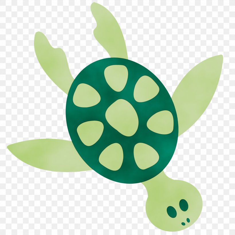 Sea Turtle Background, PNG, 3000x3000px, Watercolor, Baby Toys, Film, Green, Paint Download Free