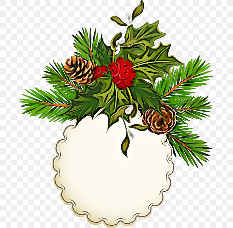 Christmas Decoration, PNG, 688x800px, Oregon Pine, Branch, Christmas Decoration, Christmas Eve, Christmas Ornament Download Free