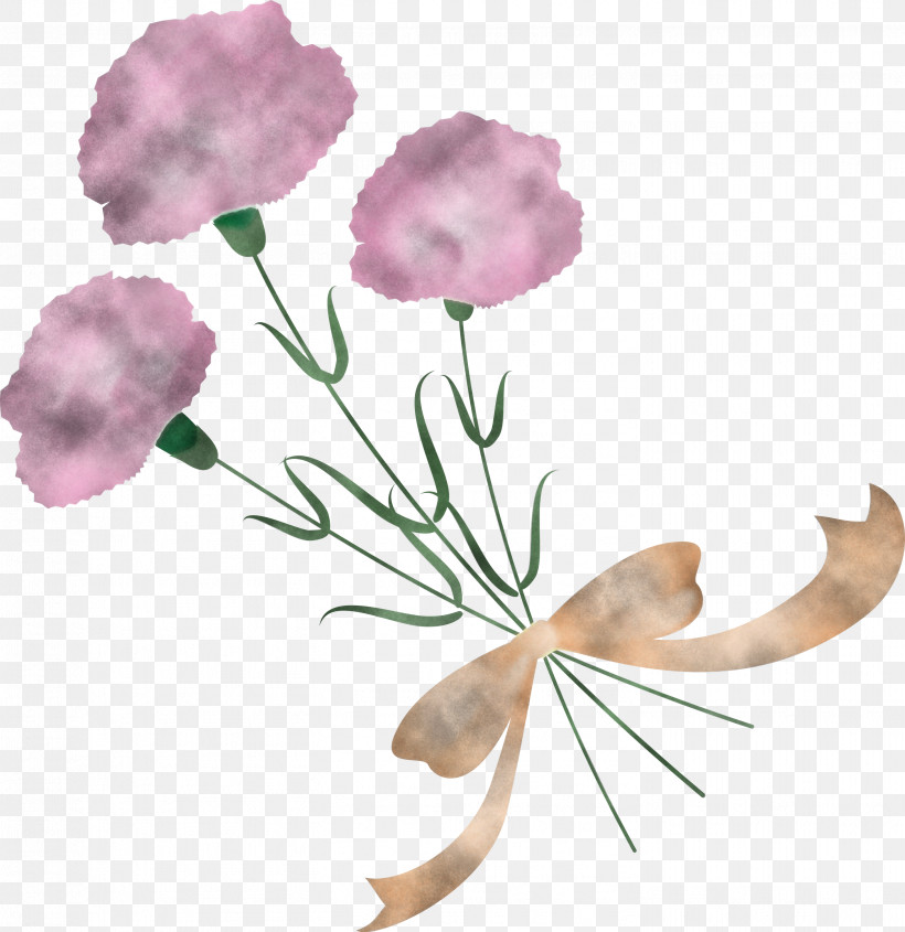 Mothers Day Carnation Mothers Day Flower, PNG, 2909x3000px, Mothers Day Carnation, Cut Flowers, Flower, Geranium, Mothers Day Flower Download Free