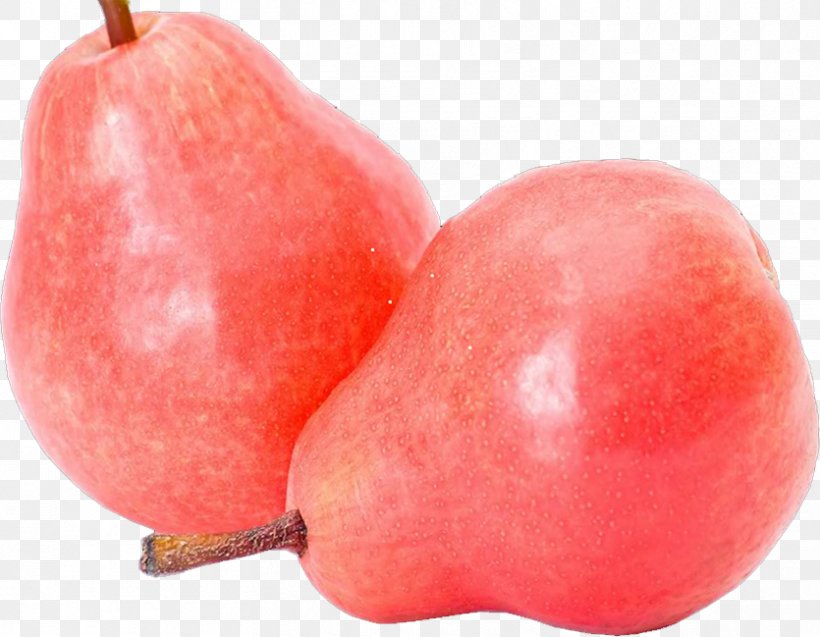Pyrus Xd7 Bretschneideri Apple Fruit, PNG, 835x649px, Pyrus Xd7 Bretschneideri, Apple, Auglis, Bosc Pear, Food Download Free