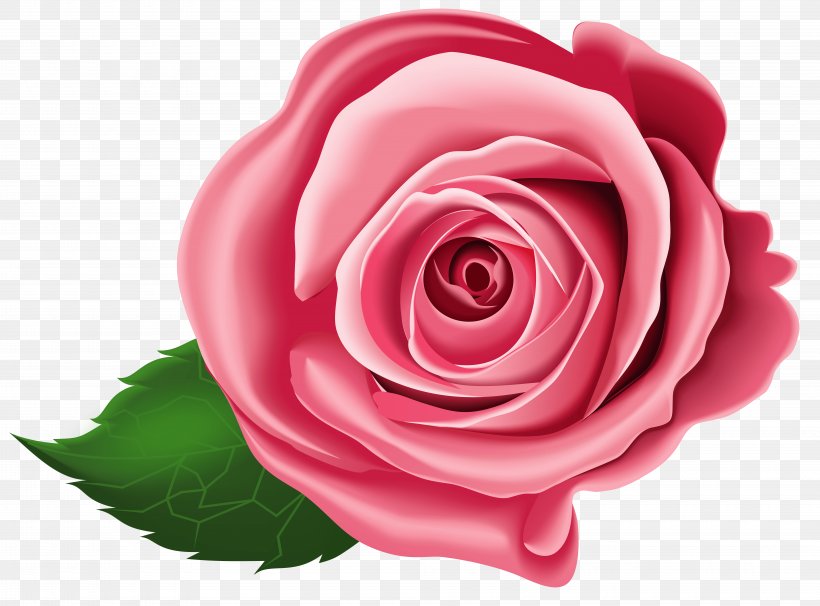Valentine's Day Clip Art, PNG, 8000x5914px, Valentine S Day, Art, Blog, China Rose, Close Up Download Free