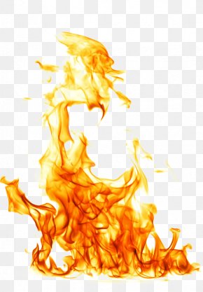Yellow Flame - Vodka Distilled Beverage Tequila Shot Glass Skull PNG