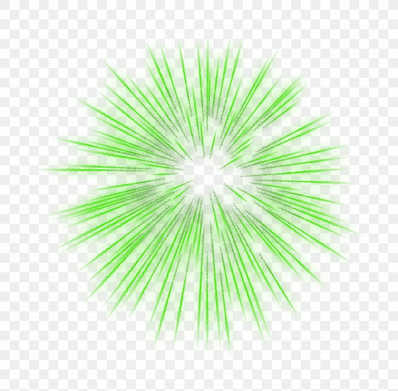 Animation The Venerable December Pyrotechnics, PNG, 8000x7847px, Book, Blog, December, February, Grass Download Free