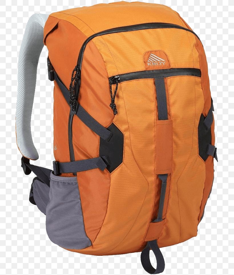 Backpack Bag, PNG, 717x962px, Backpack, Backpacking, Bag, Baggage, Camping Download Free