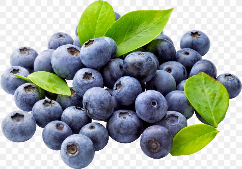 Juice Blueberry Fruit Clip Art, PNG, 4145x2889px, Blueberry Tea, Anthocyanin, Aristotelia Chilensis, Berry, Bilberry Download Free