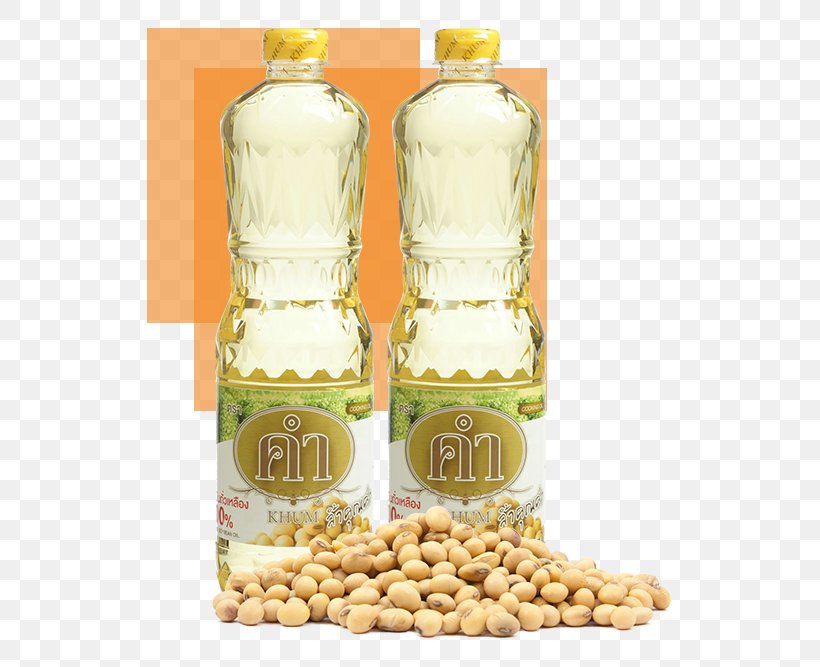 Soybean Oil Palm Oil Palm Kernel Oil Oleic Acid, PNG, 585x667px, Soybean Oil, Arecaceae, Bottle, Commodity, Cooking Oil Download Free