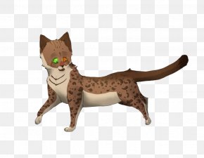 Cat - Whiskers Domestic Short-haired Cat Tail Animal PNG