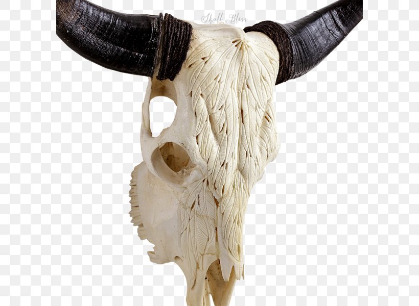 Cattle Animal Skulls Skeleton XL Horns, PNG, 600x600px, Cattle, Animal Skulls, Balinese People, Bone, Cart Download Free