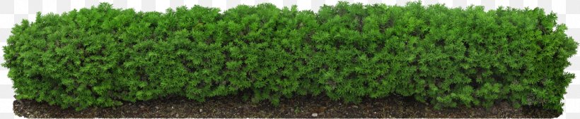 Hedge Fence Pruning Tree, PNG, 1289x267px, Plant, Artificial Turf, Digital Image, Fence, Grass Download Free
