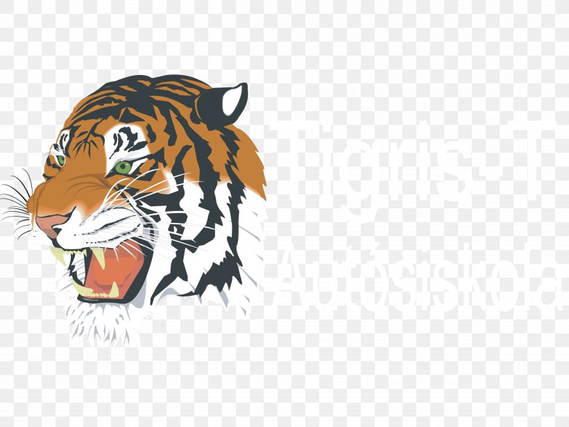 Kasson-Mantorville Senior High School Detroit Tigers Sports Football, PNG, 4800x3600px, Watercolor, Cartoon, Flower, Frame, Heart Download Free