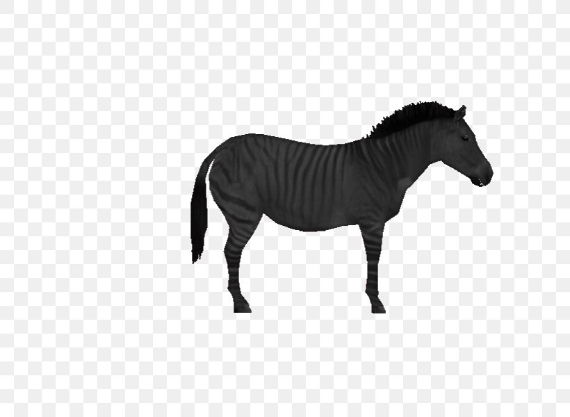 Mustang Mane Rein Stallion Bridle, PNG, 800x600px, Mustang, Animal Figure, Blackandwhite, Bridle, Halter Download Free