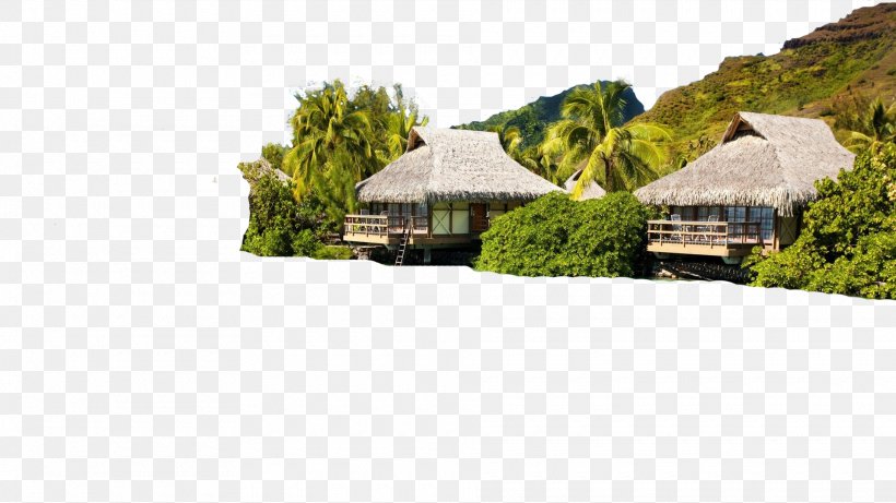 Phú Quốc Phi Phi Islands Langkawi Atlantis Bahamas, PNG, 1920x1080px, Phi Phi Islands, Beach, Cottage, Estate, Home Download Free