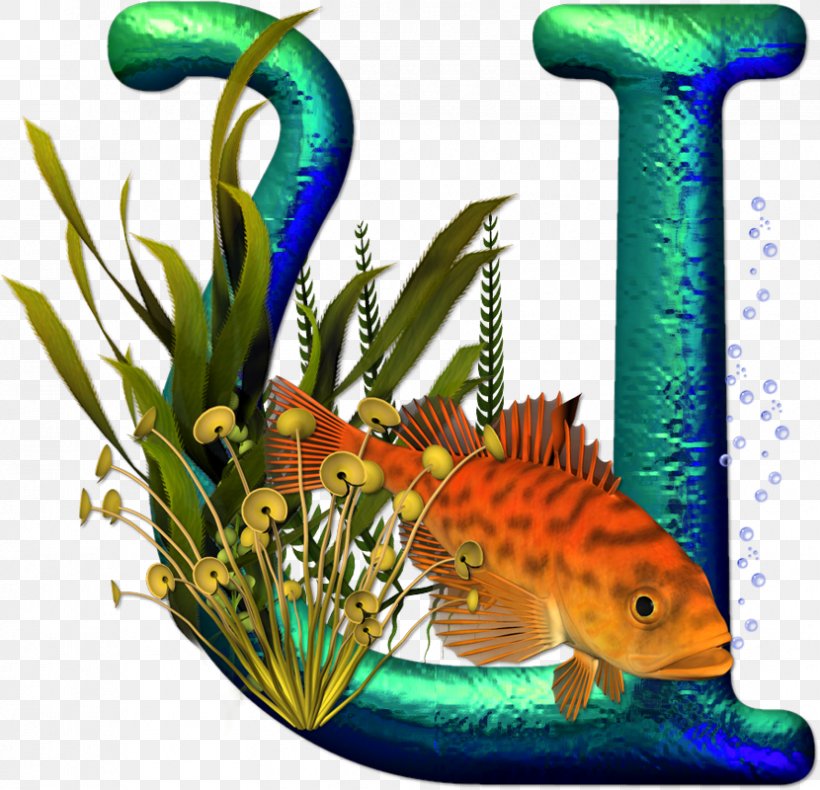 Letter Alphabet Image Idea Initial, PNG, 830x800px, Letter, Alphabet, Aquarium, Aquarium Decor, Cursive Download Free