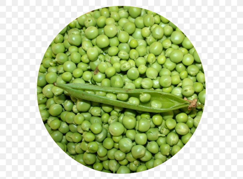 Lima Bean Vegetarian Cuisine Vegetable Food Pea, PNG, 600x607px, Lima Bean, Bean, Food, Fruit, Ingredient Download Free