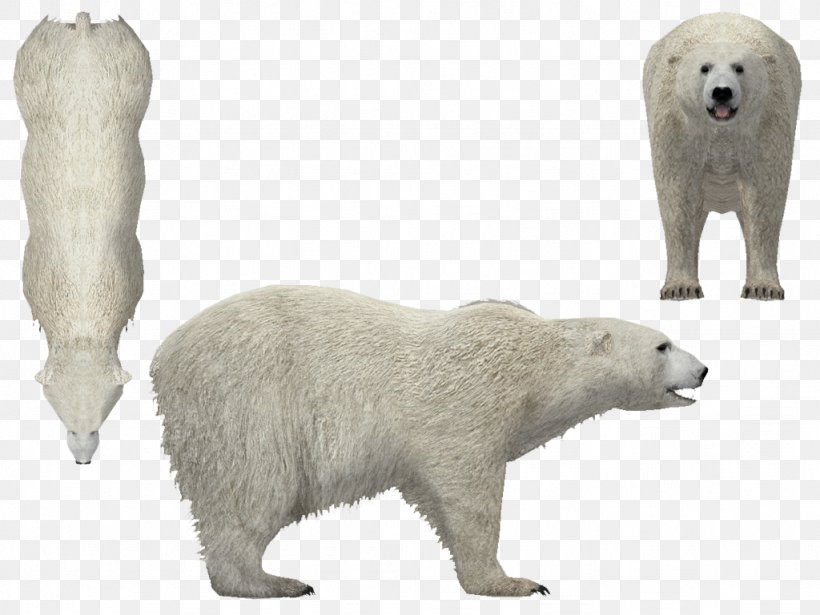 Polar Bear Animal Wildlife Snout, PNG, 1024x768px, Polar Bear, Animal, Animal Figure, Bear, Carnivoran Download Free