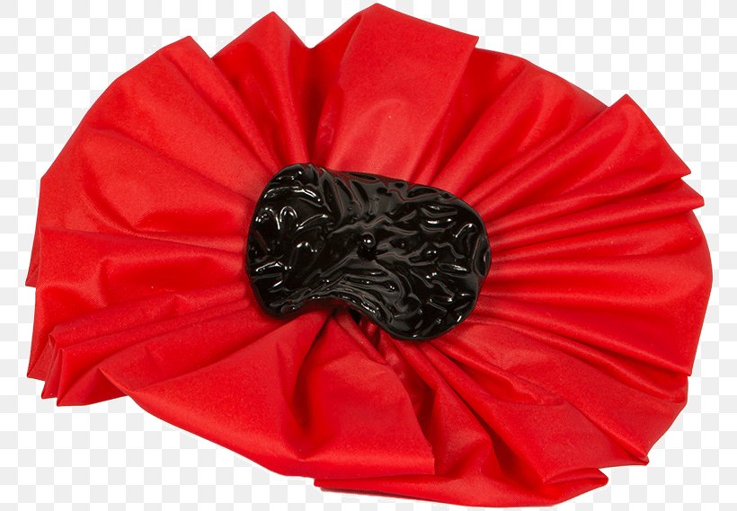 Remembrance Poppy Common Poppy Flower The Royal British Legion, PNG, 768x569px, Poppy, Armistice Day, Cheltenham, Common Poppy, Coquelicot Download Free