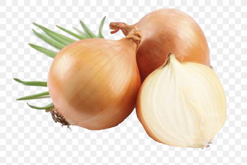 Yellow Onion Food Vegetable Red Onion, PNG, 1920x1281px, Onion, Carrot, Cooking, Egg, Food Download Free