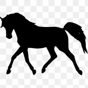 Horse Silhouette - Arabian Horse Silhouette Standing Horse PNG