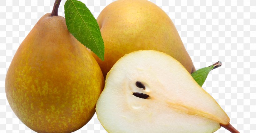 Bosc Pear Fruit Cultivar Pome, PNG, 1000x524px, Pear, Apples, Bosc Pear, Cultivar, Diet Food Download Free