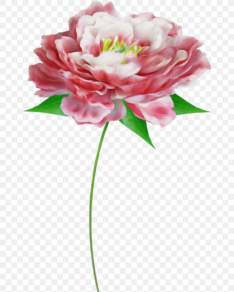 Floral Design, PNG, 664x1024px, Floral Design, Artificial Flower, Cut Flowers, Flower, Flower Bouquet Download Free