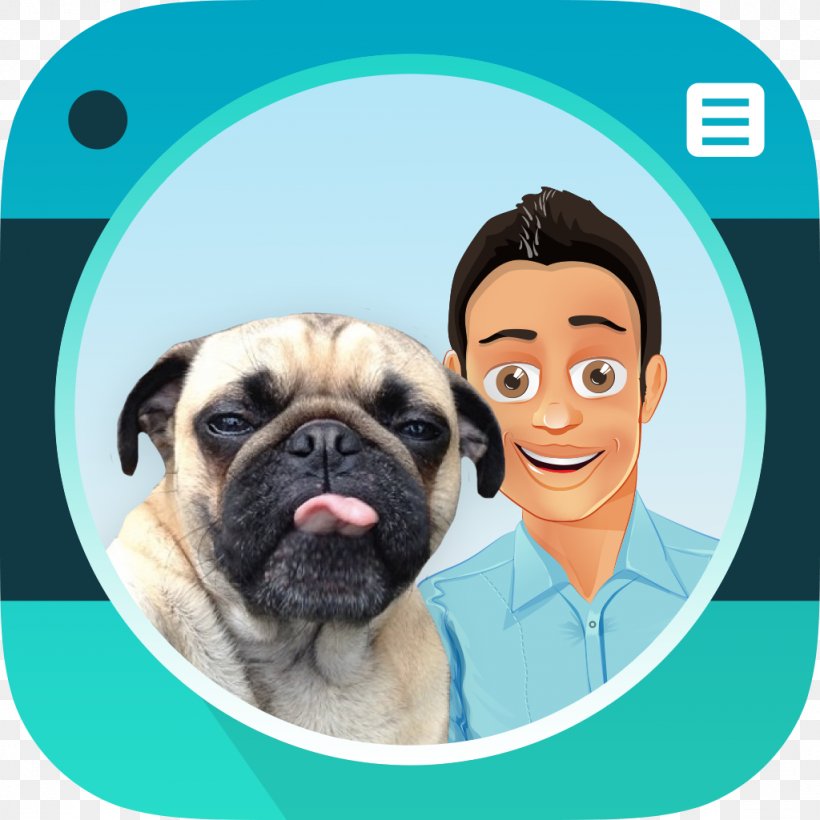 Pug Dog Selfies Photography Funny Animal, PNG, 1024x1024px, Watercolor, Cartoon, Flower, Frame, Heart Download Free