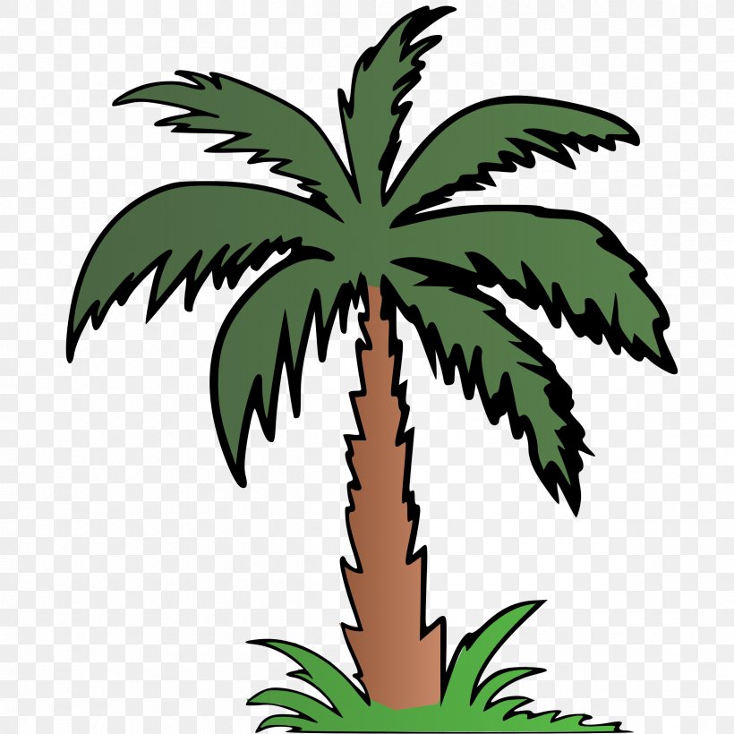 Arecaceae Color Clip Art, PNG, 2400x2400px, Arecaceae, Arecales, Ball, Beach, Byte Download Free