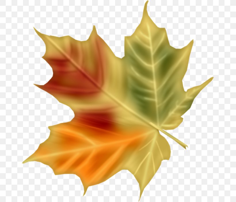 Digital Painting Leaf Clip Art, PNG, 667x700px, Digital Painting, Autumn, Digital Art, Digital Data, Digital Image Download Free
