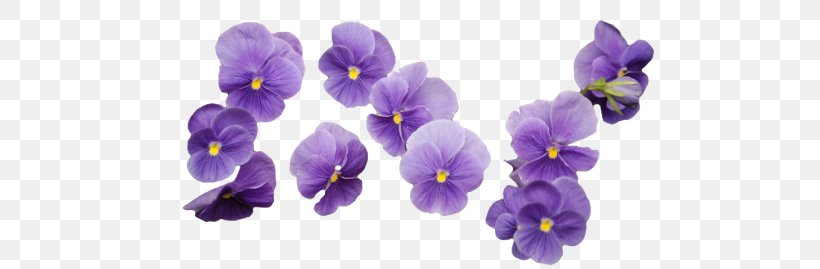 Flower Lavender Purple Clip Art, PNG, 500x269px, Flower, Blume, Flower Bouquet, Flowering Plant, Green Download Free