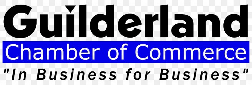 Guilderland Chamber Of Commerce Marketing Business E-commerce, PNG, 2550x861px, Marketing, Advertising, Area, Banner, Blue Download Free