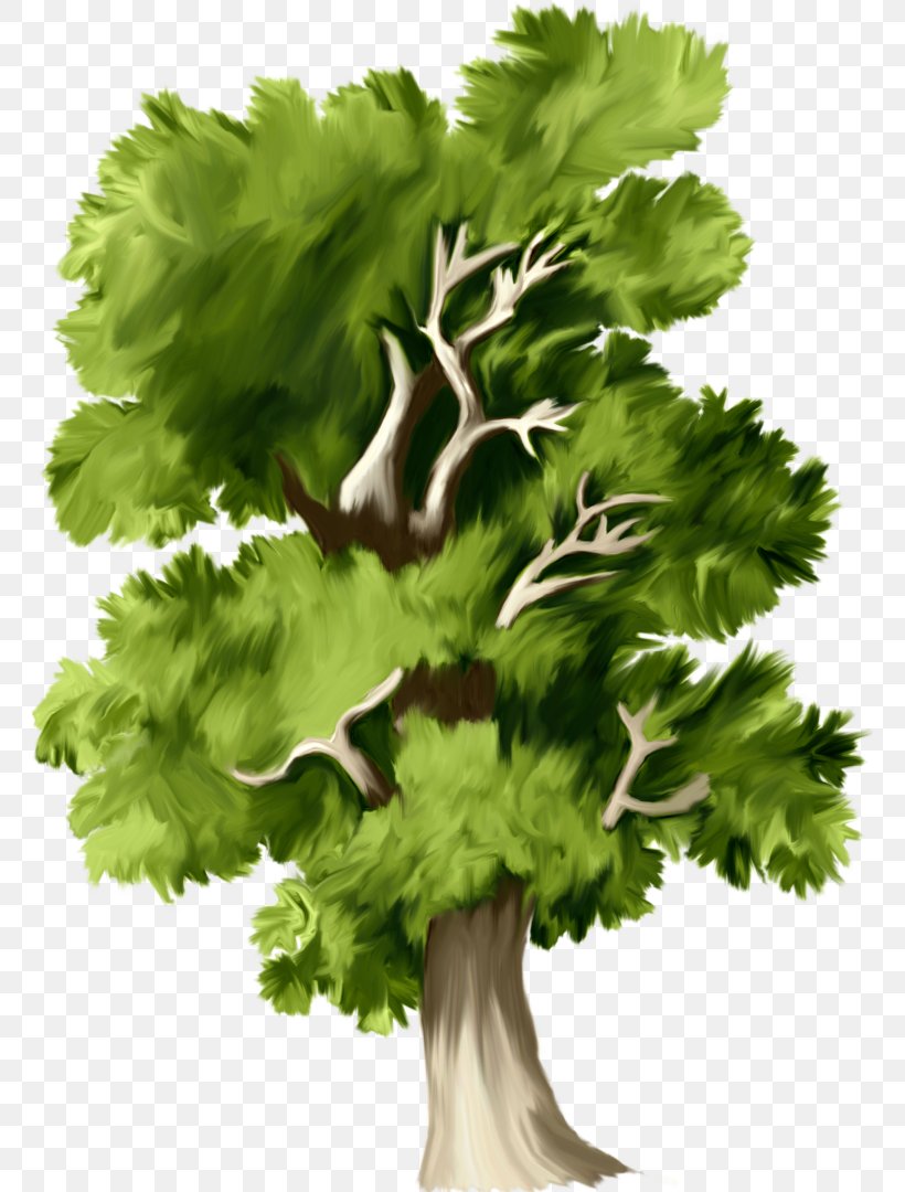 Tree Web Page Clip Art, PNG, 762x1080px, Tree, Birthday, Branch, Food, Herb Download Free