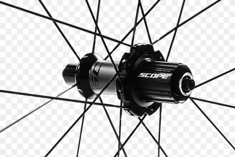 Bicycle Wheels Fulcrum Wheels Campagnolo, PNG, 1250x834px, Wheel, Auto Part, Autofelge, Automotive Wheel System, Bicycle Download Free