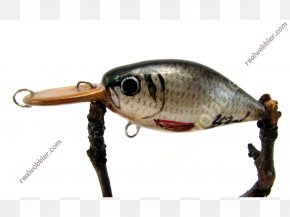 Plug Fishing Baits & Lures Asp, PNG, 2300x1500px, Plug, Angling, Asp,  Atlantic Salmon, Bait Download Free