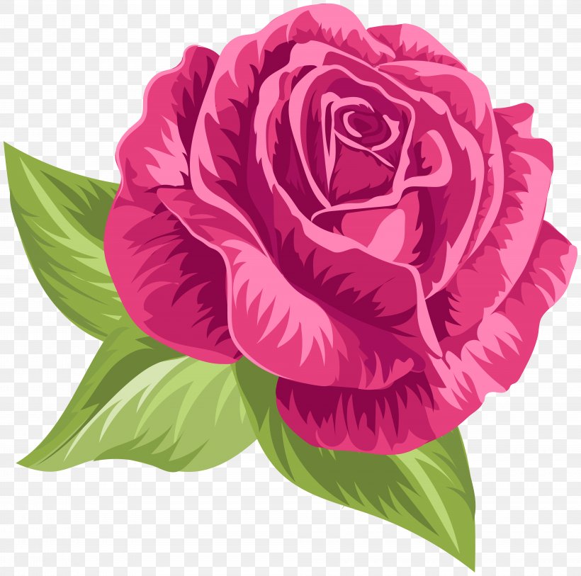 Garden Roses Cabbage Rose Floribunda Clip Art, PNG, 8000x7940px, Garden Roses, Annual Plant, Cabbage Rose, Cut Flowers, Digital Image Download Free