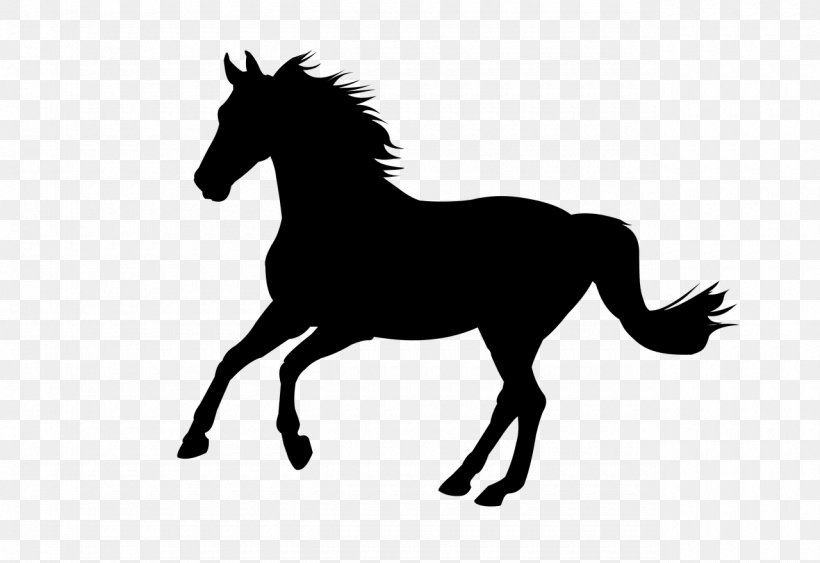 Cat Silhouette, PNG, 1280x879px, Horse, Animal, Animal Figure, Black, Blackandwhite Download Free