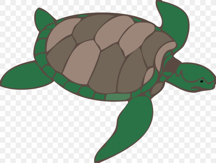 Green Sea Turtle Clip Art, PNG, 1079x813px, Turtle, Animal, Drawing, Fauna, Fictional Character Download Free