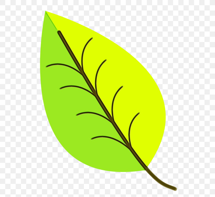Leaf Plant Stem Plant Plant Structure Biology, PNG, 750x750px, Watercolor, Biology, Leaf, Paint, Plant Download Free
