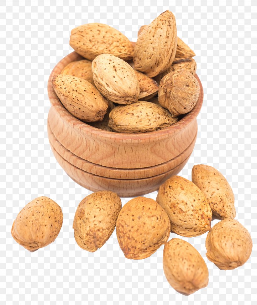 Nut Chutney Almond Bengali Cuisine Kheer, PNG, 3240x3852px, Nut, Almond, Apricot Kernel, Auglis, Bengali Cuisine Download Free