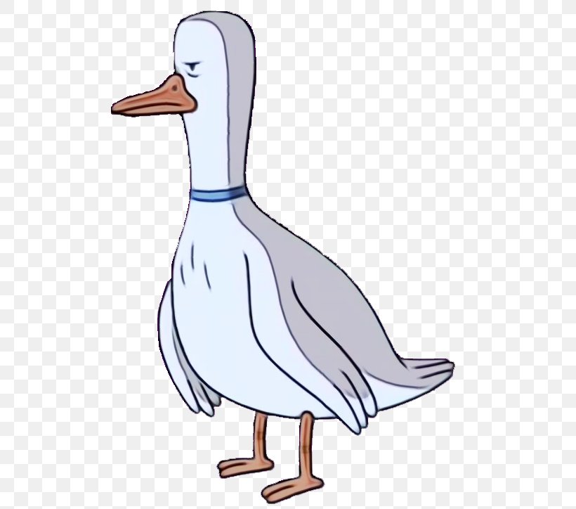 Bird Duck Beak Water Bird Ducks, Geese And Swans, PNG, 513x724px, Watercolor, Beak, Bird, Cartoon, Duck Download Free