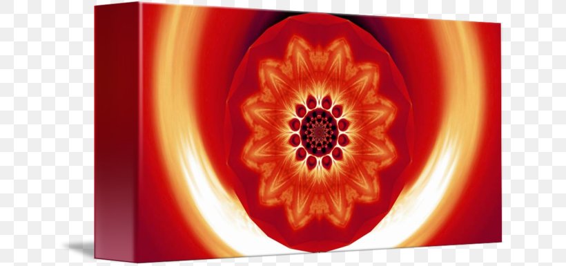 Dreamcatcher Skateboarding Flower Red, PNG, 650x385px, Dreamcatcher, Dahlia, Dream, Feather, Fire Download Free