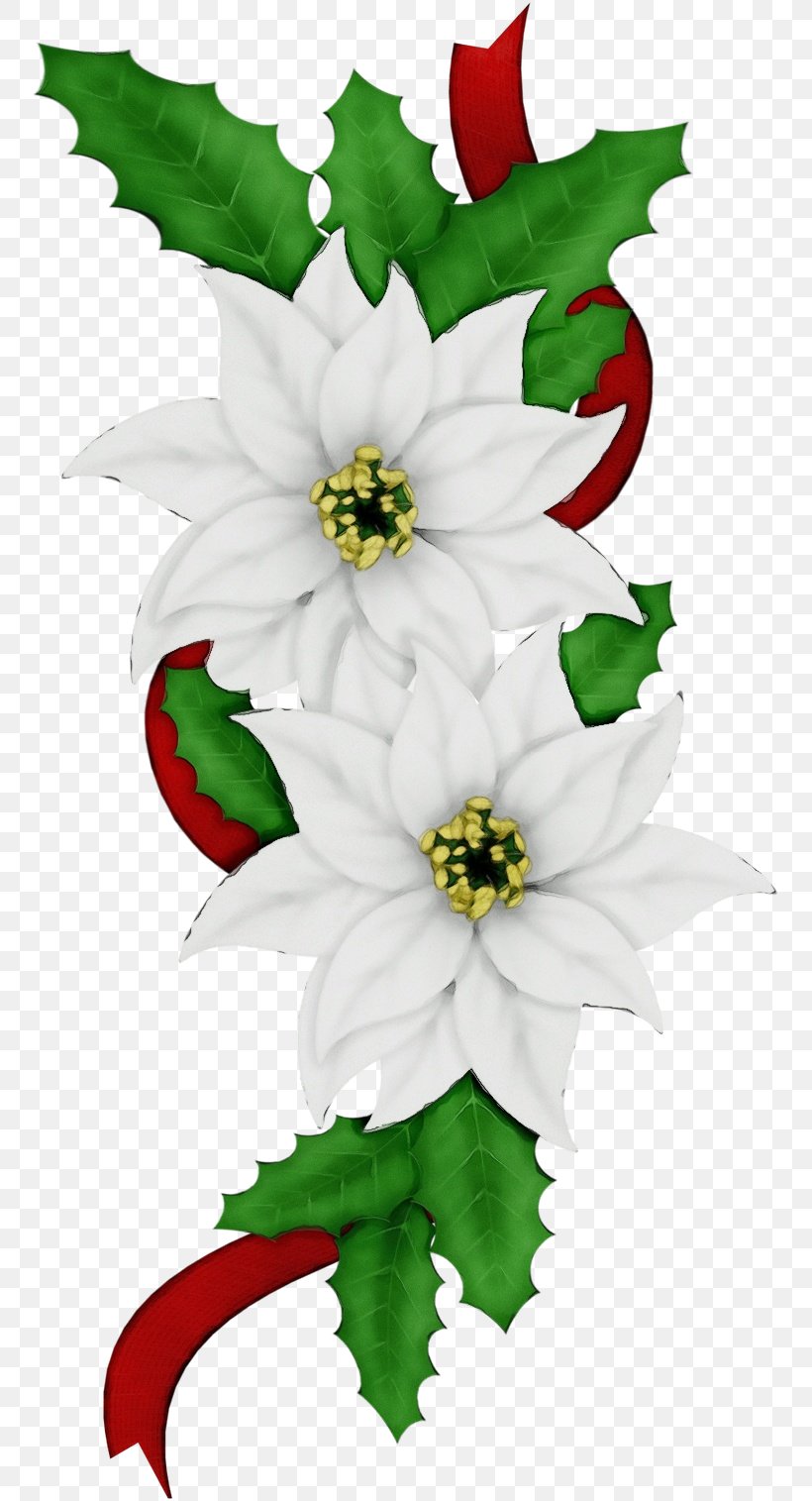 Flower White Green Petal Plant, PNG, 756x1515px, Watercolor, Cut Flowers, Flower, Green, Leaf Download Free