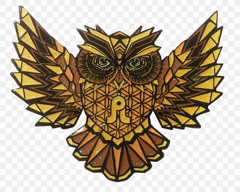 Owl Bird Of Prey Beak, PNG, 800x659px, Owl, Beak, Bird, Bird Of Prey, Color Download Free