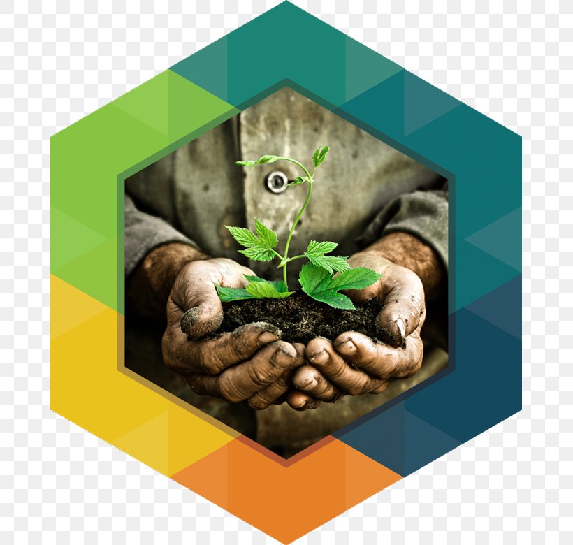 Soil Fertility The Crossings Church Dig In! Hands-on Soil Investigations, PNG, 675x780px, Soil, Agriculture, Earth, Environmental Degradation, Hand Download Free